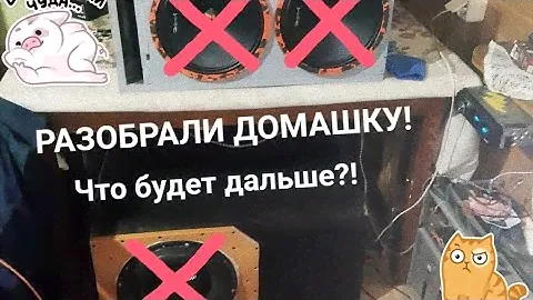 РАСФОРМИРОВАЛИ ДОМАШКУ С DB123,ЕЕ БОЛЬШЕ НЕТ! СДЕЛАЛИ ОБНОВЛЕННЫЙ КОРОБ,VLOG!